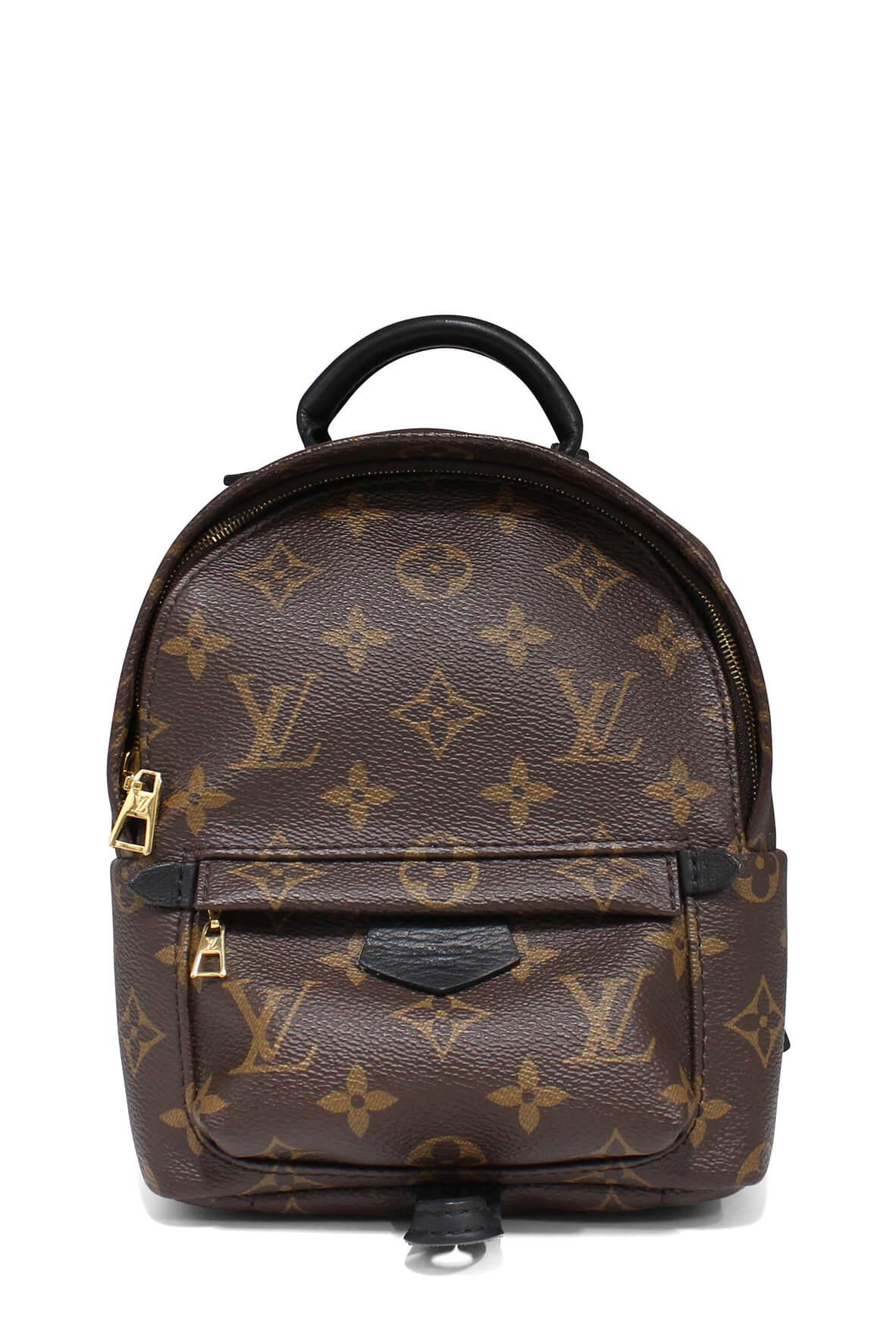 Monogram Mini Palm Springs Backpack