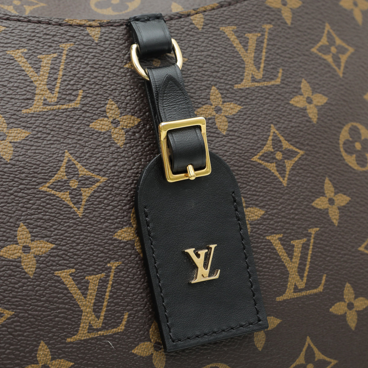 Louis Vuitton Bicolor Monogram Odeon Bag